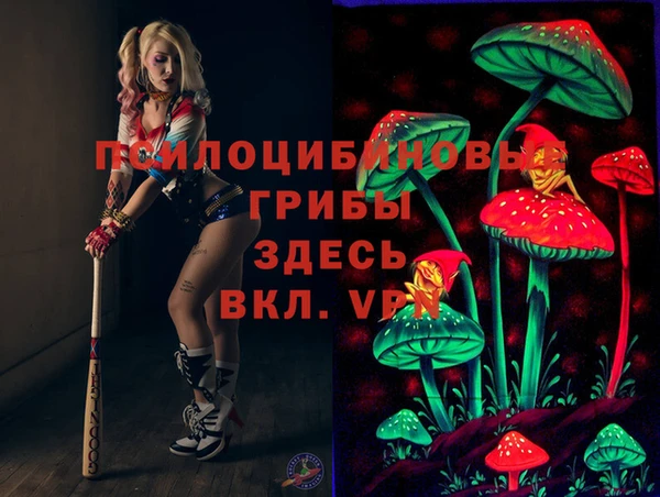 эйфоретик Надым